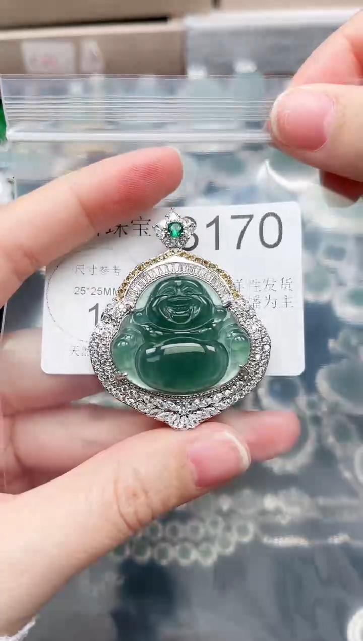 【闪购商品】翡翠颈饰未镶嵌赠皮绳3170