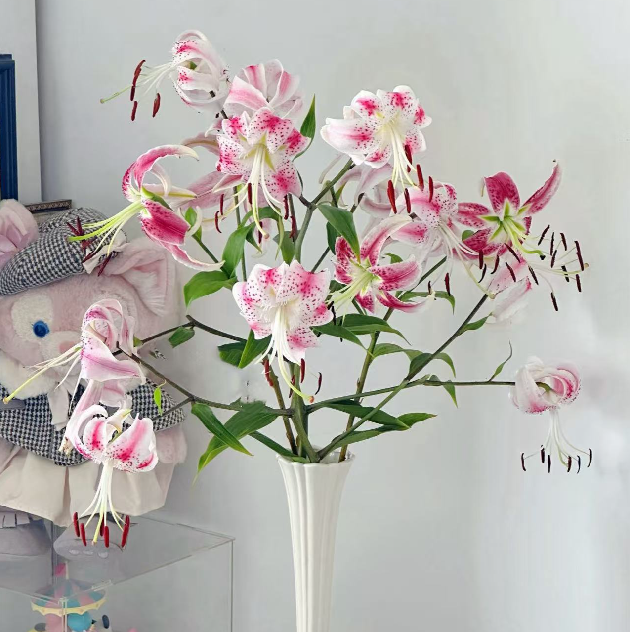 【陌上花开】多头魔扇公主-百合