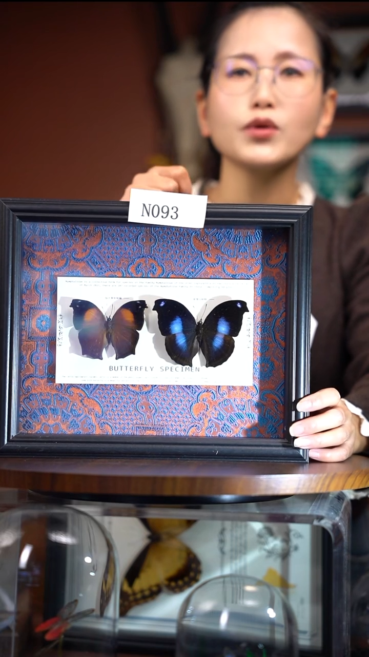 N093   爱情鸟组合  绢布款