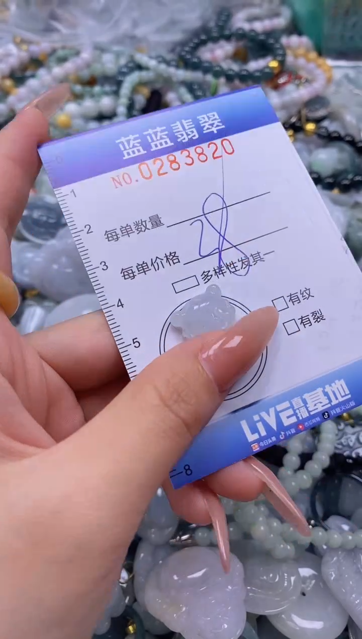 翡翠未镶嵌颈饰闪购0283820