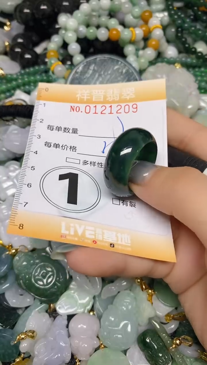 【闪购商品】翡翠颈饰未镶嵌闪购0121209