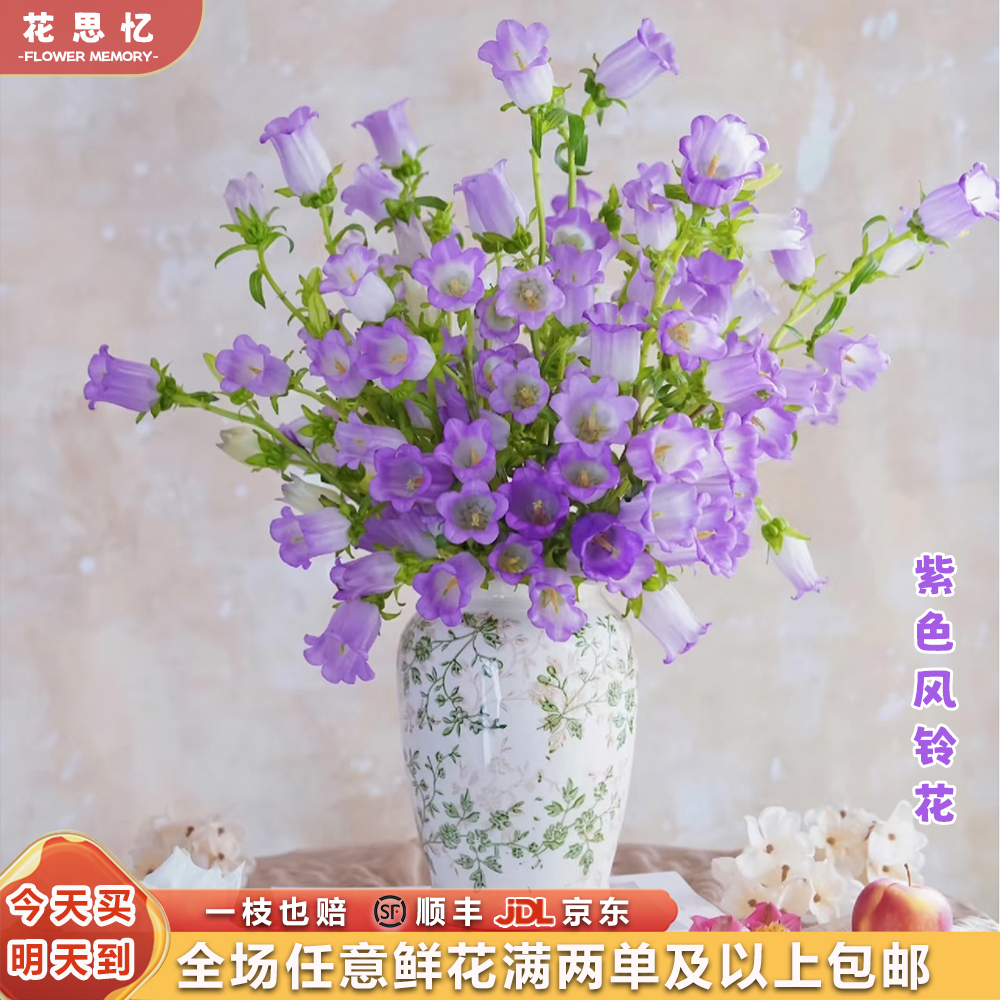 『紫色风铃花一把』仙气飘飘小铃铛 品质家居鲜花 满两单鲜花顺丰京东包邮 三单鲜花送玻璃花瓶 风铃包邮
