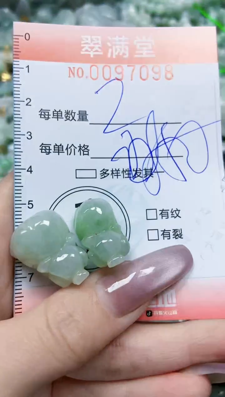 【闪购商品】翡翠颈饰未镶嵌闪购0097098