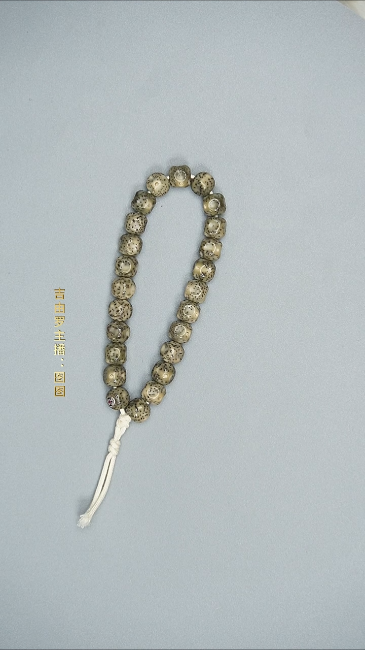 手串星月菩提星月无相手持