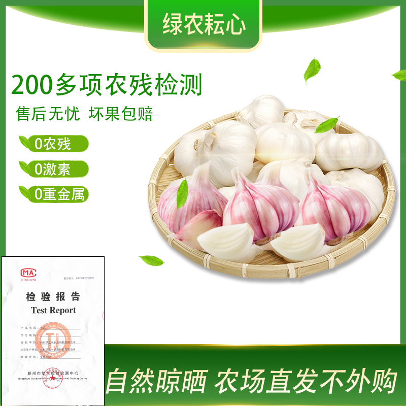  【源头产地】新干蒜农家自种大蒜头山东蒜可腌紫白皮