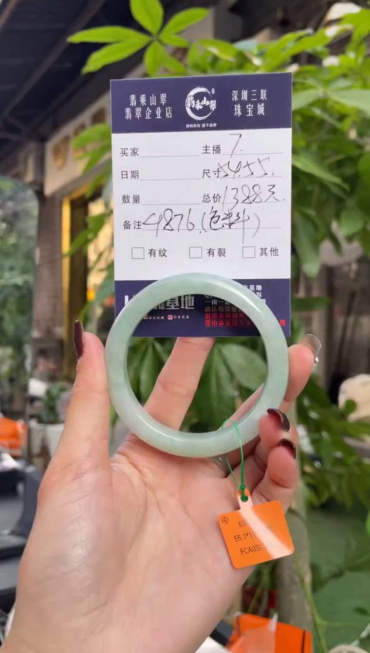 未镶嵌手镯翡翠Q 54正圈 4876