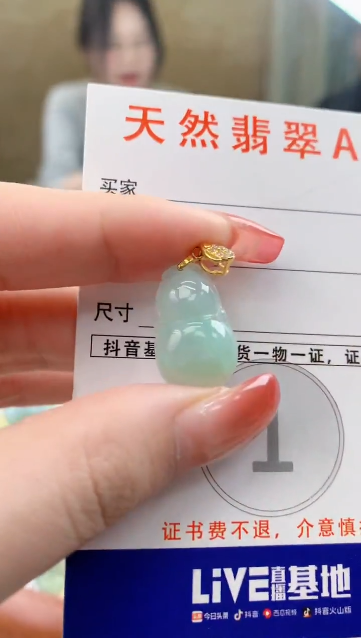 颈饰未镶嵌翡翠天然A货翡翠挂件