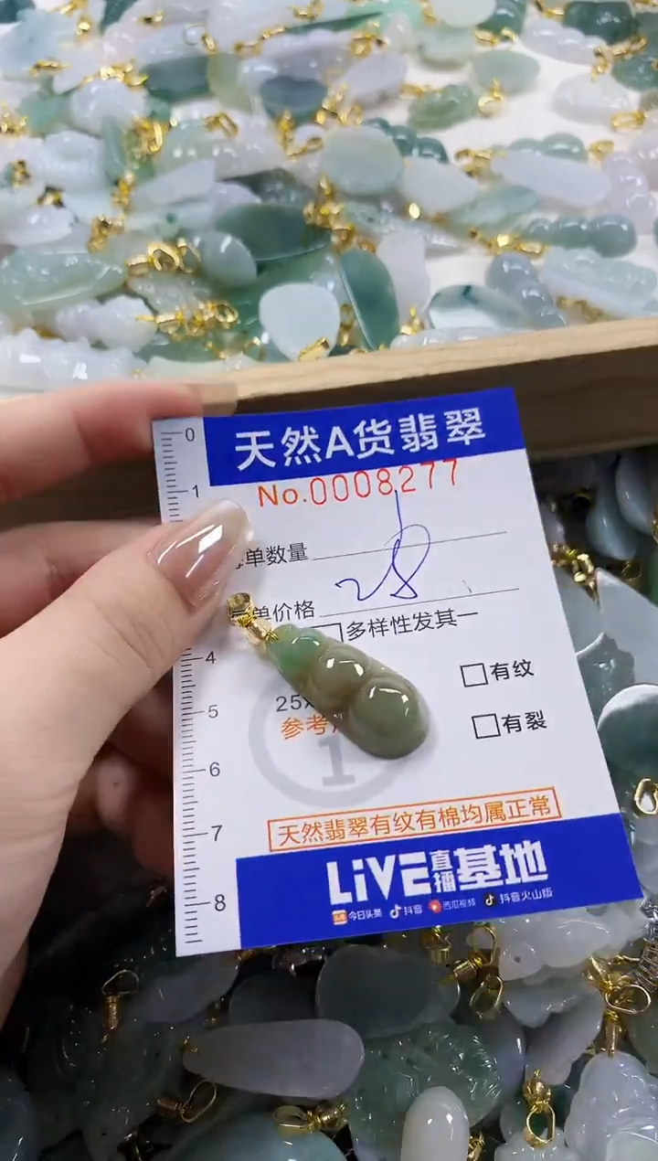 颈饰未镶嵌翡翠L****9天然A货翡翠