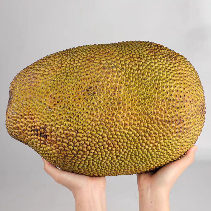 印尼红肉菠萝蜜1个G(不掏芯需备注)