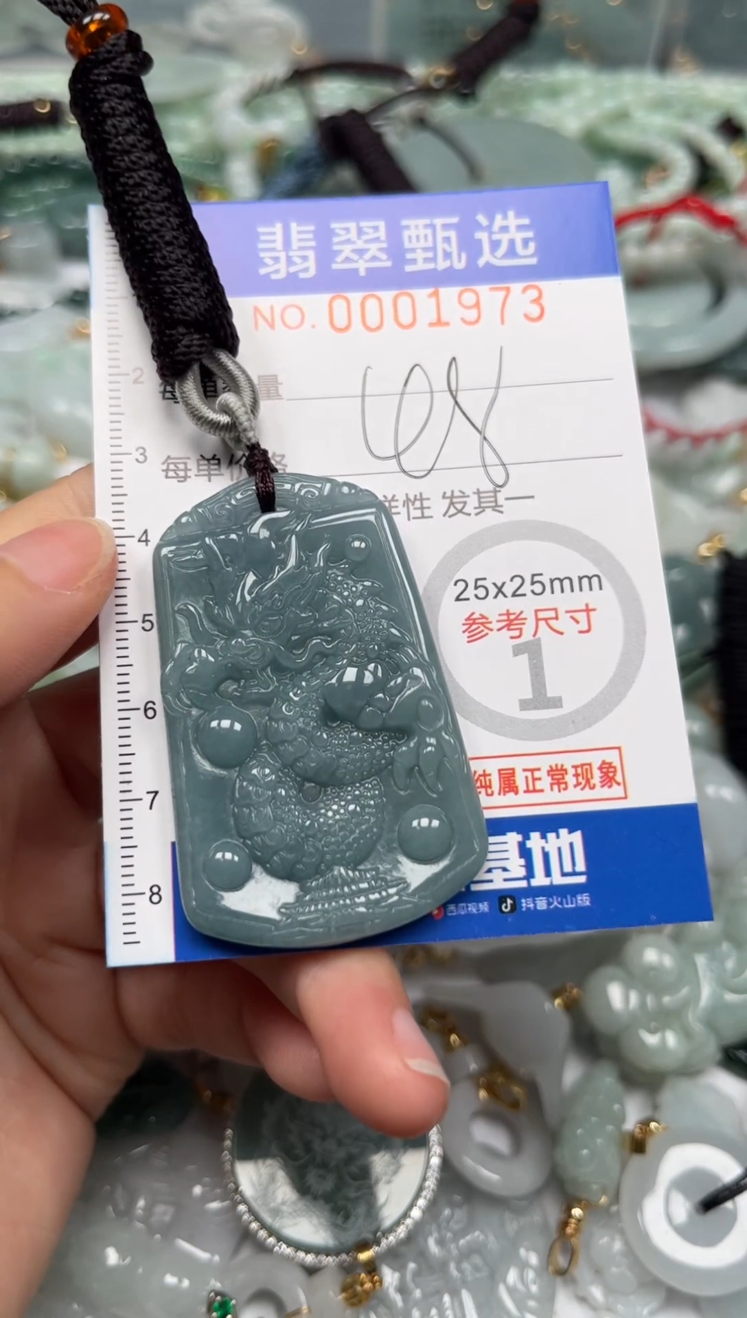 【闪购商品】翡翠颈饰未镶嵌00..1973