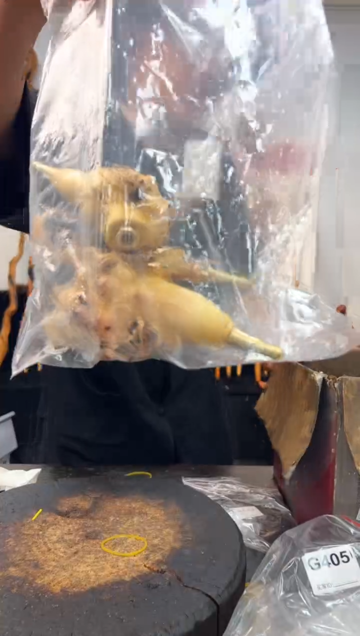 黑果木其他黑果木677