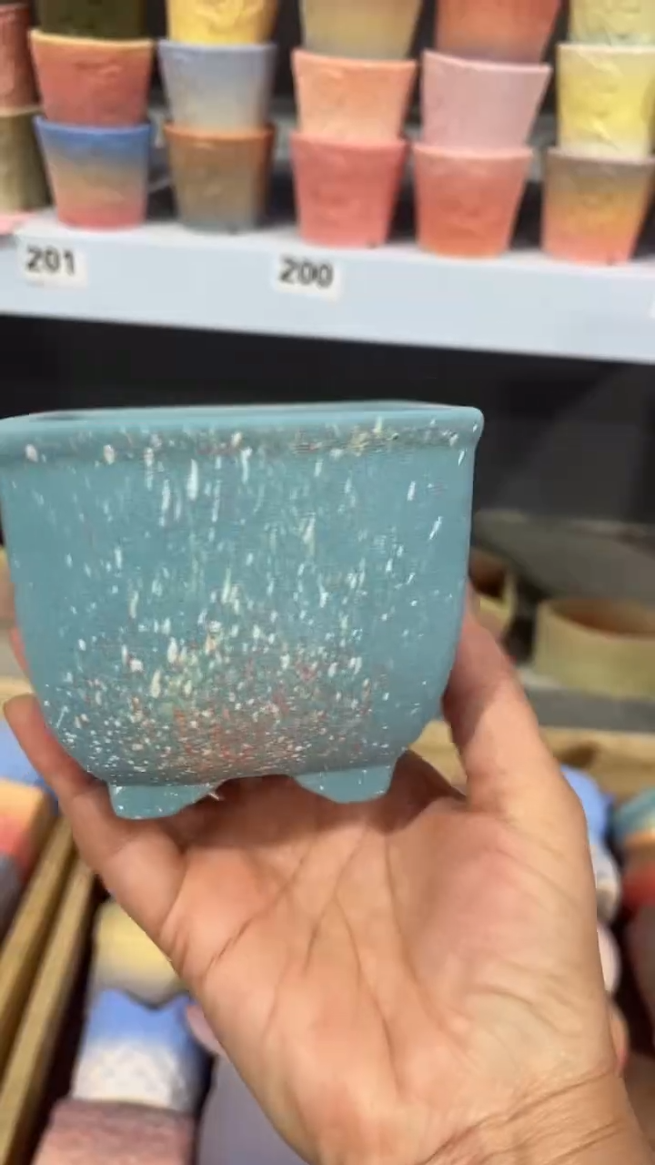 【闪购商品】红陶8*7