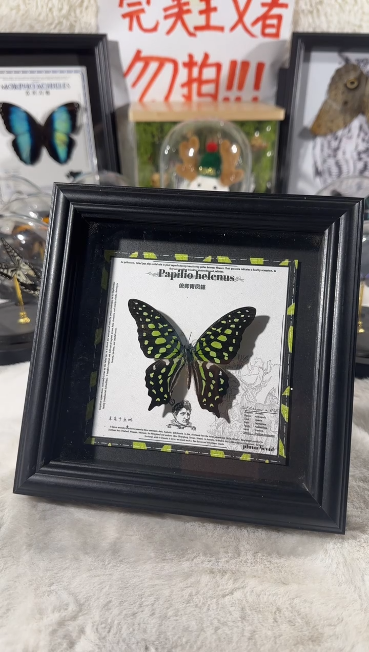 玻璃统帅清风  相框 