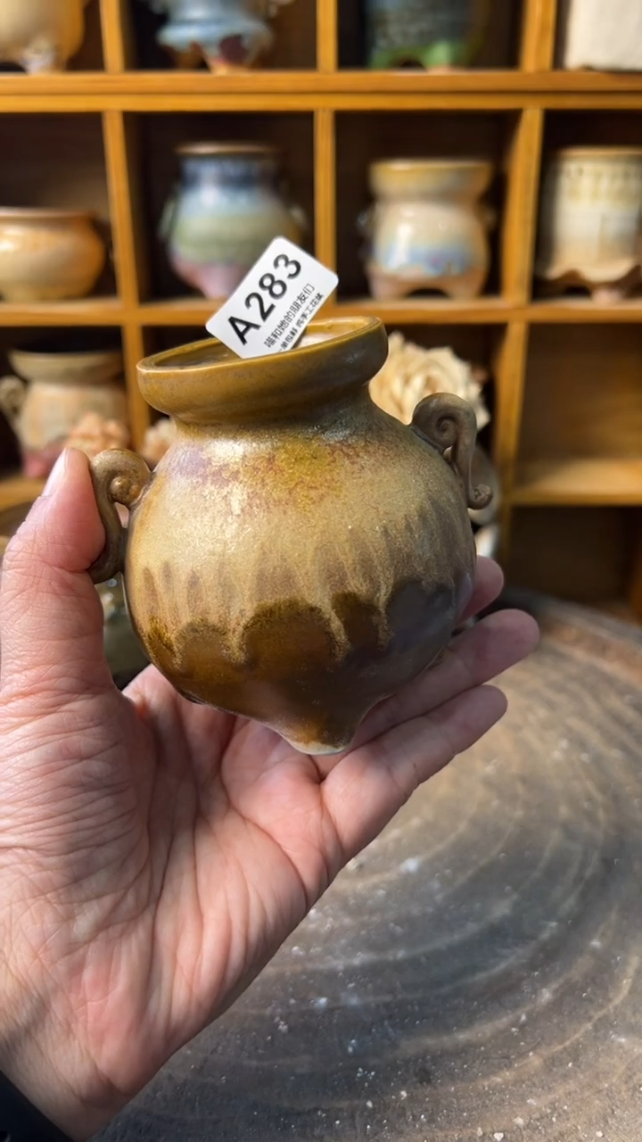 283 内口5【多肉花盆多肉盆】