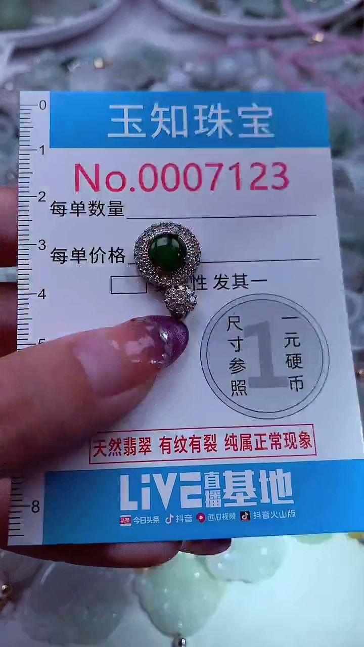 翡翠未镶嵌吊坠(不含链)7123