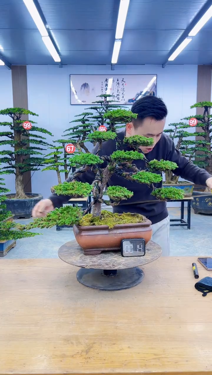 以实际为准0000000