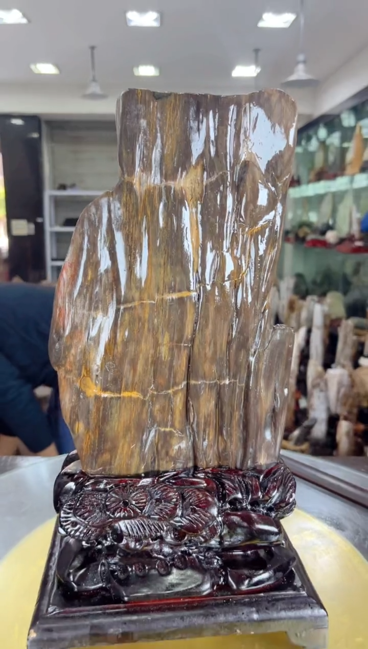 【闪购商品】硅化玉珠宝奇石未镶嵌缅甸天然树化玉