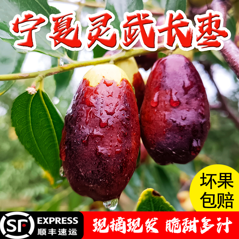 灵武长枣【产地直发】顺丰包邮新鲜脆甜多汁皮薄肉厚应季水果红枣商品图