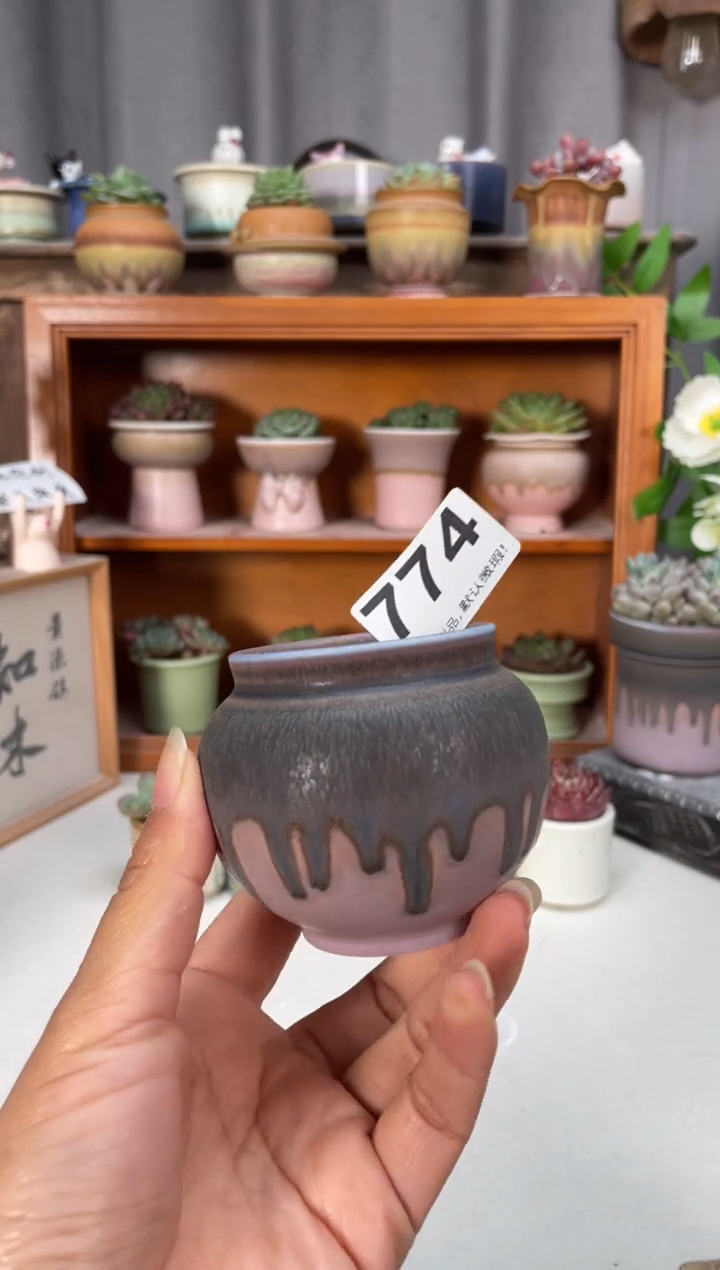 瓷片774小芳直播编号