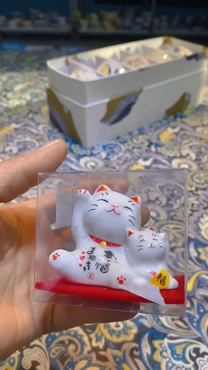 【闪购商品】瓷片111111111111@@1