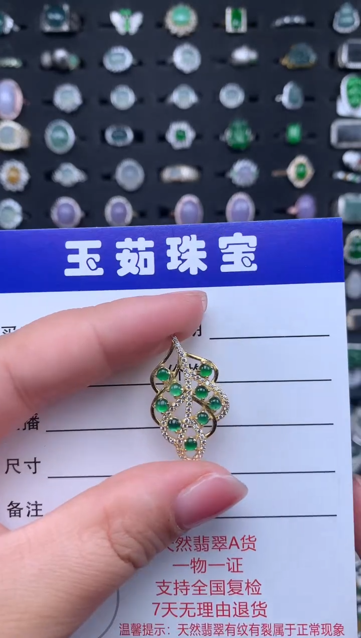 【闪购商品】翡翠颈饰银S925镶嵌234234
