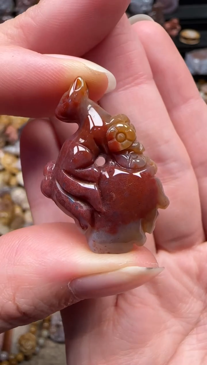 颈饰未镶嵌硅化珊瑚（珊瑚玉）133