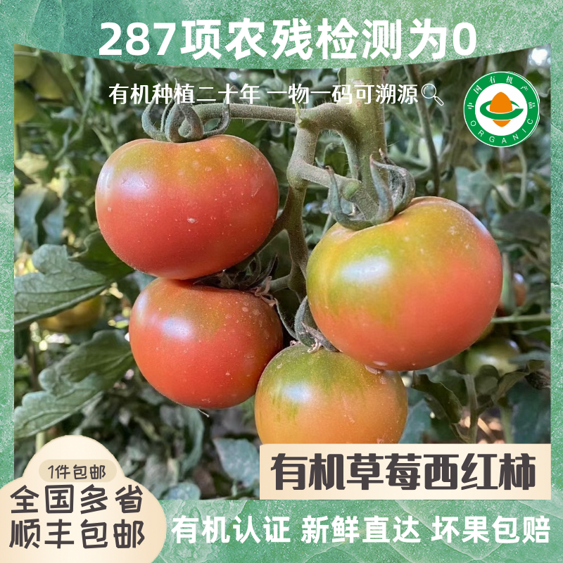 有机草莓番茄  虎眼西红柿 水果西红柿 有机认证 无农残