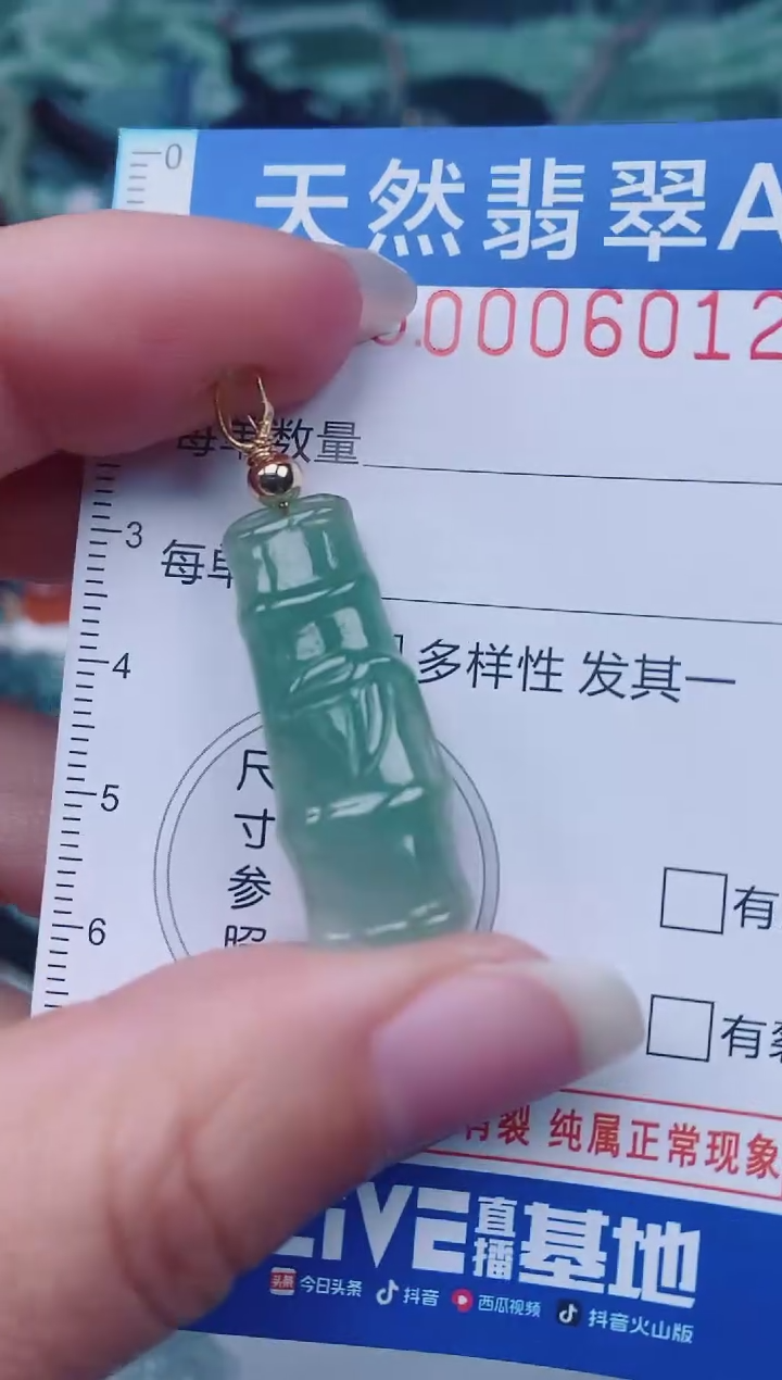 颈饰未镶嵌翡翠00006012