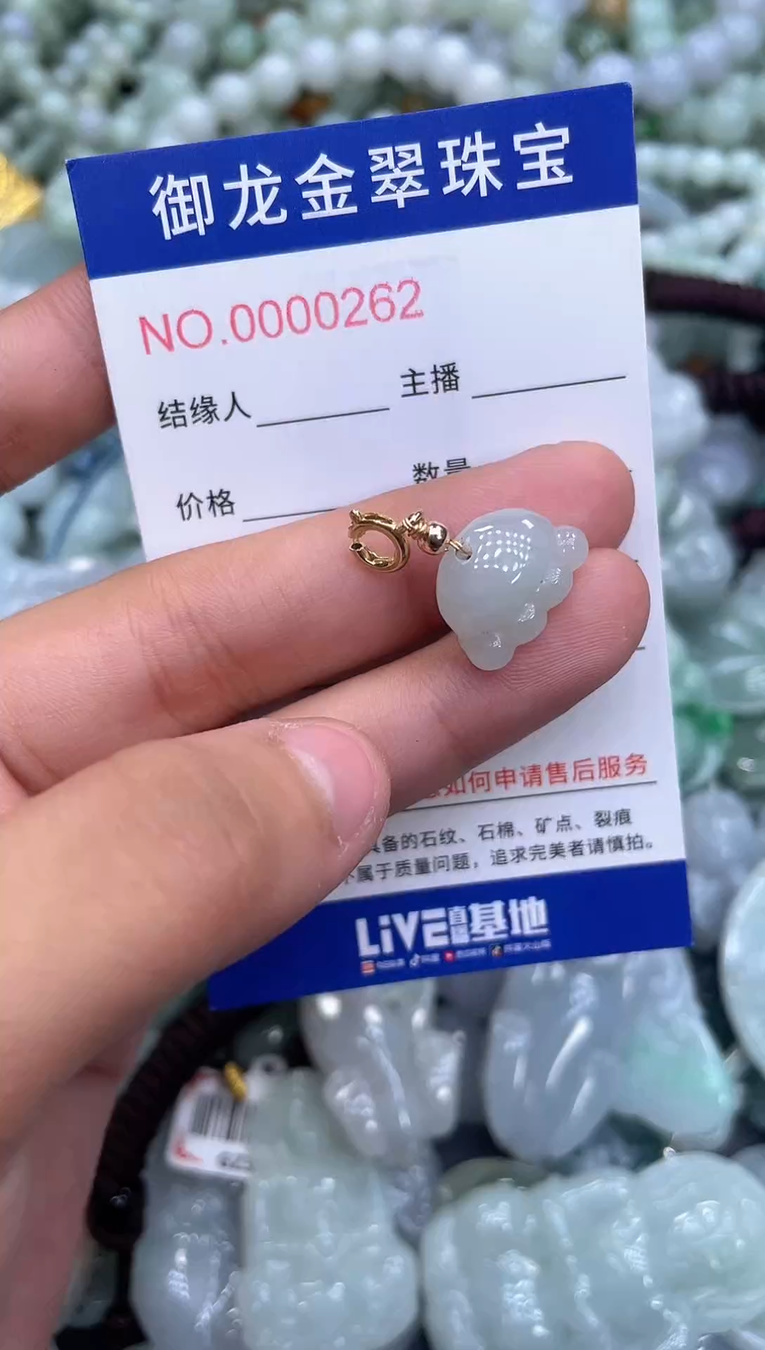 颈饰未镶嵌翡翠004