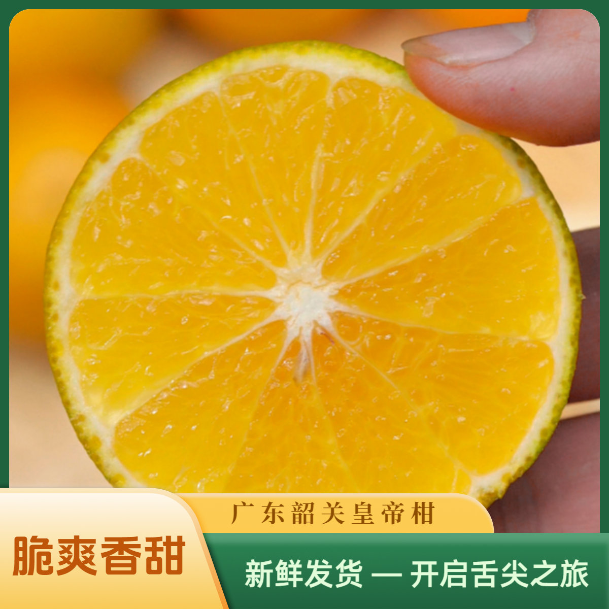 正宗皇帝柑广东丹霞贡柑不打药不打蜡不催熟现采现发新鲜当季水果