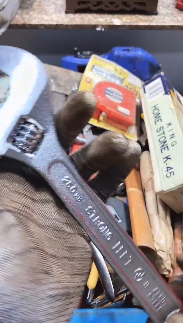 高*点麻嘎子工具闪购链接一物一拍