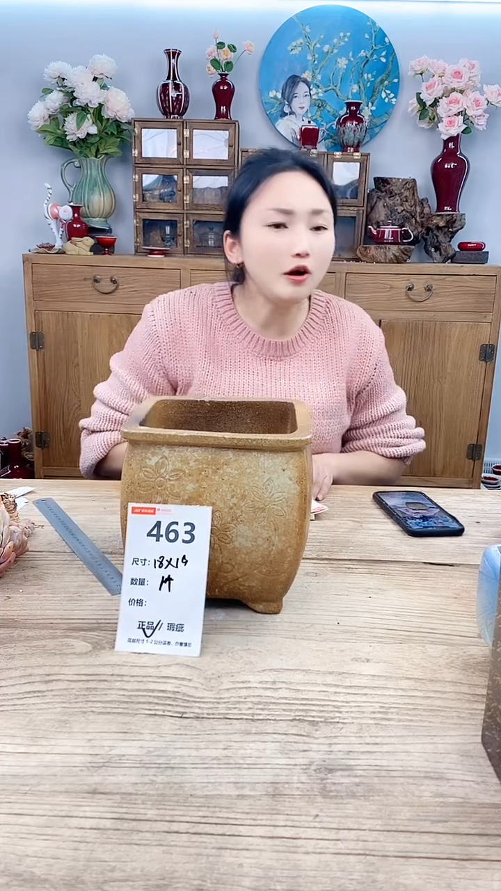 【闪购商品】红陶463