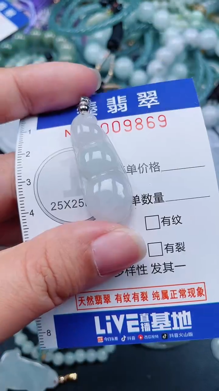 颈饰未镶嵌翡翠.0009869