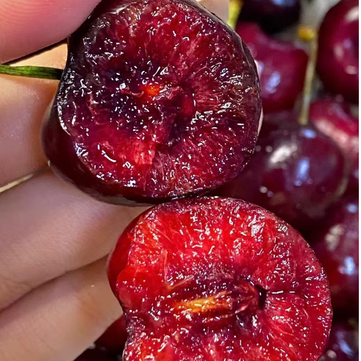 【直播】3J 车厘子1箱 4斤左右 图片仅供参考