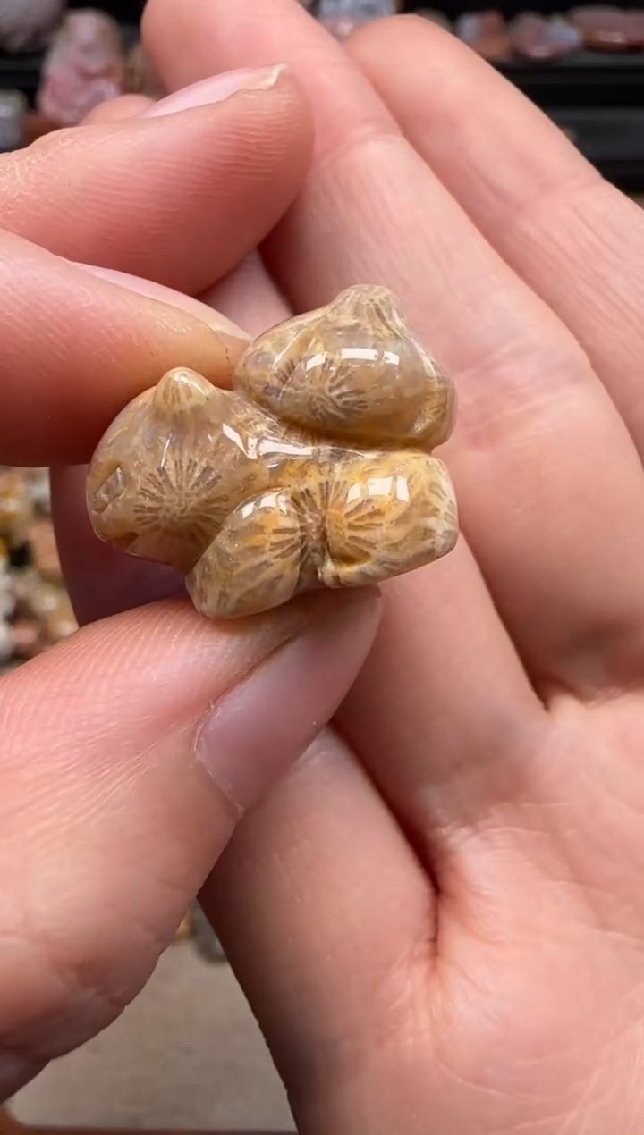 【闪购商品】硅化珊瑚（珊瑚玉）颈饰未镶嵌422