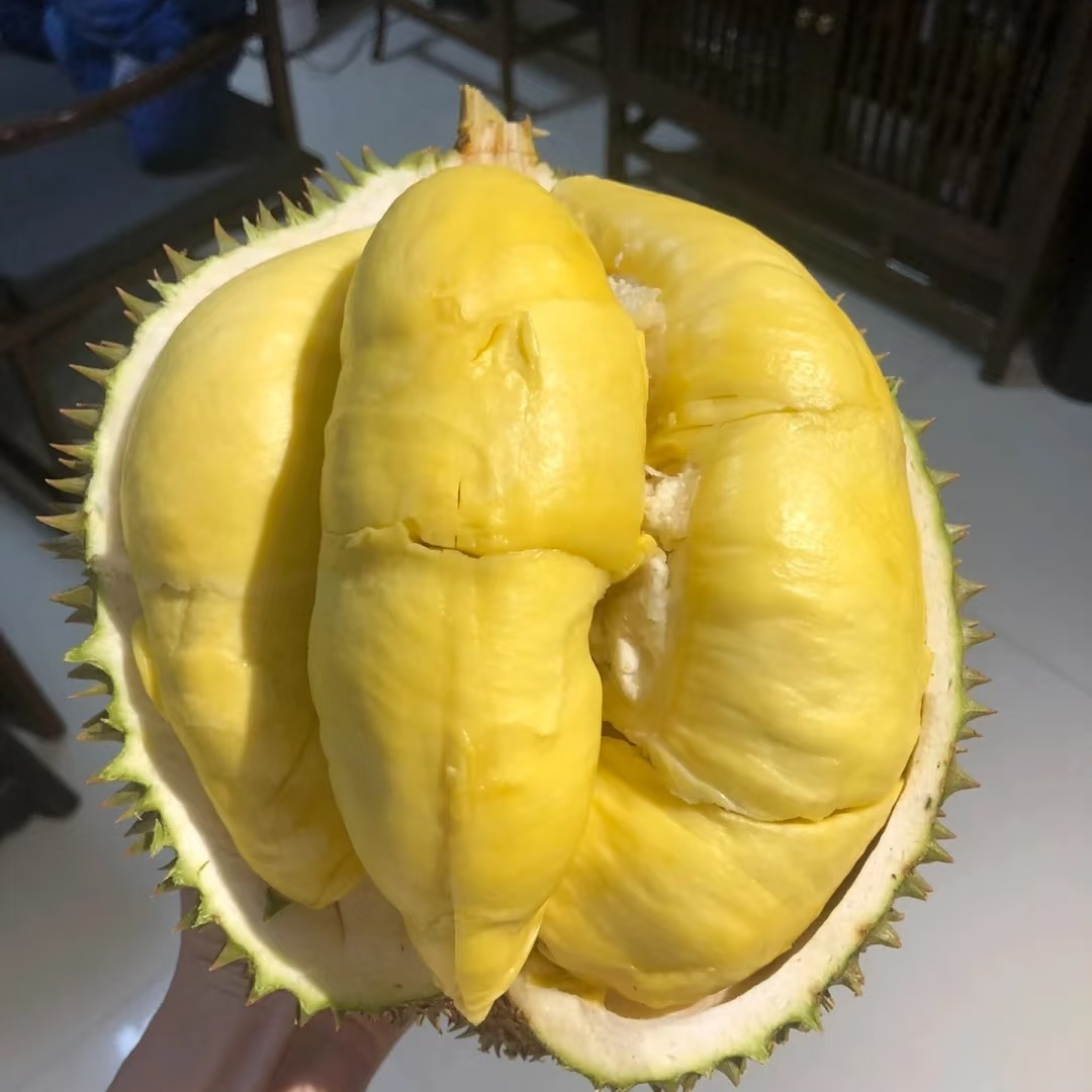 金枕鲜榴莲35.8元1斤核小5-8斤金枕泰国