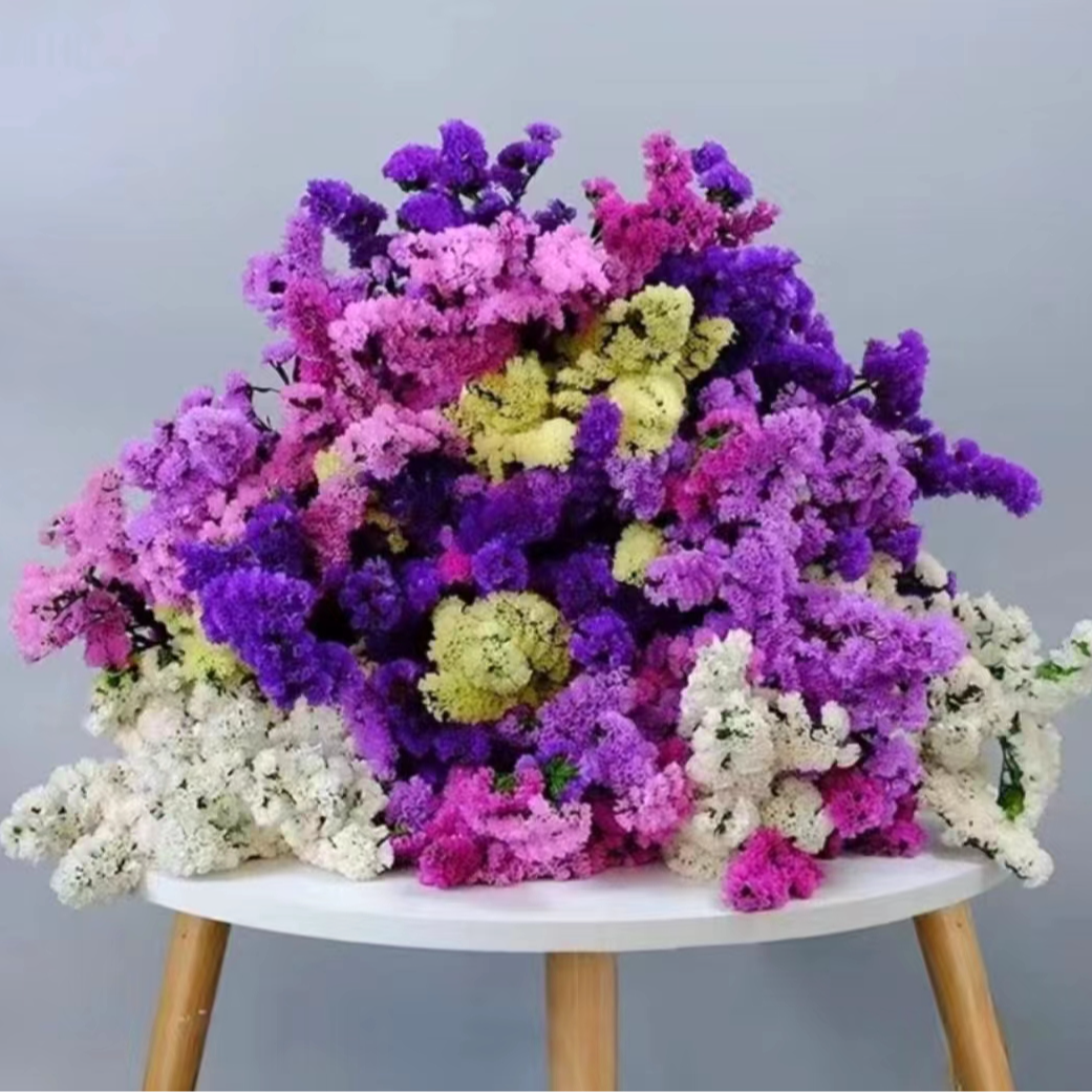 鲜花勿忘我情人草)20%不售后介意勿拍 昆明基地直发 收到先醒花