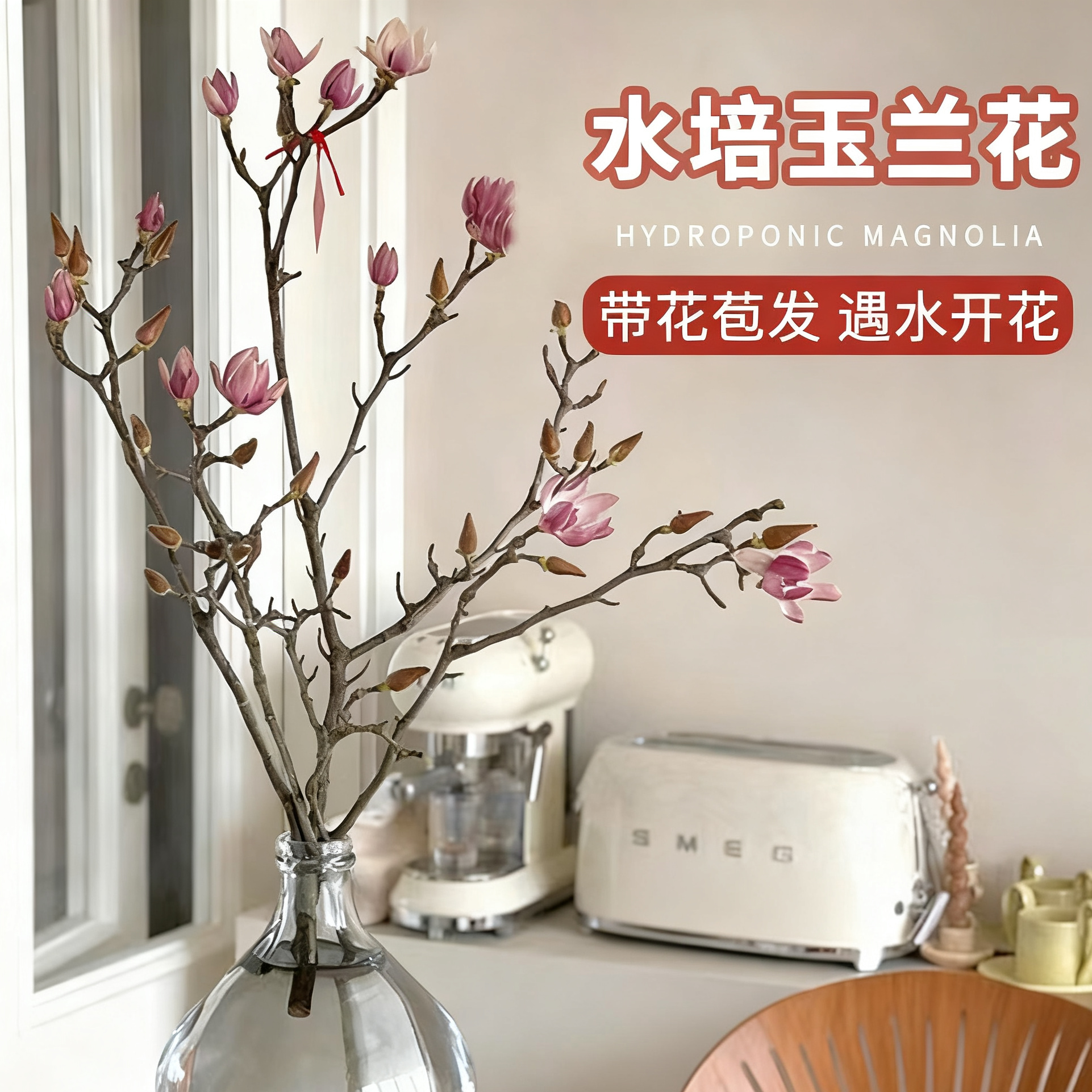 玉兰花鲜切枝水培植物带花苞红梅干枝水养鲜花卉室内好养耐寒盆栽