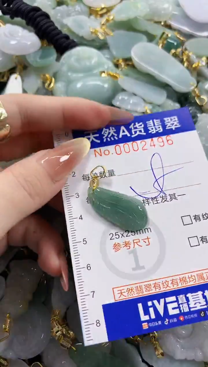 颈饰未镶嵌翡翠天然A货翡翠