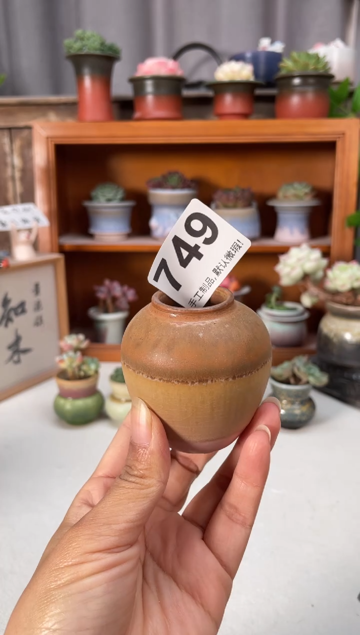 瓷片749知木小芳花盆编号