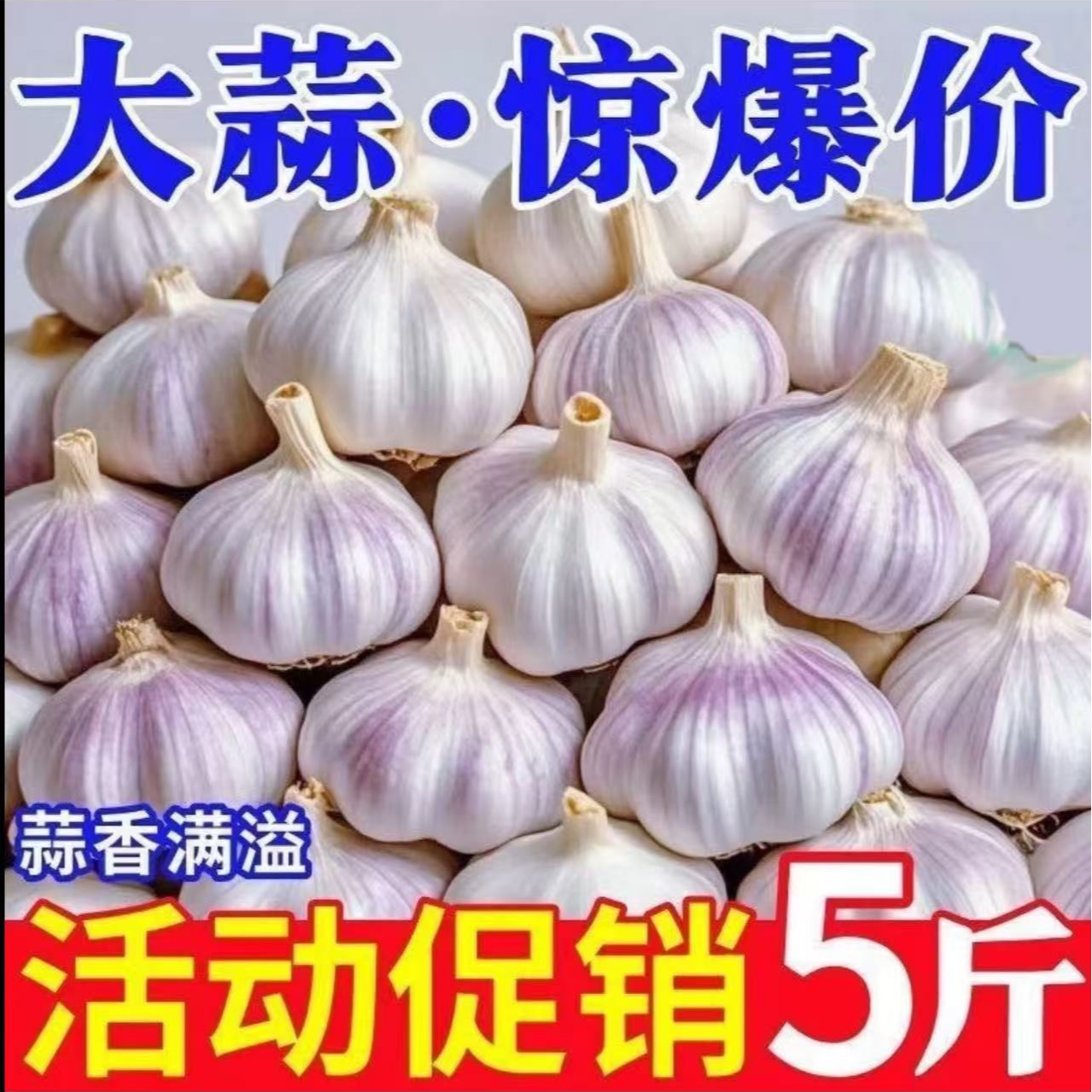 正宗紫白皮干大蒜农家大蒜头清仓批发商用便宜 新干蒜