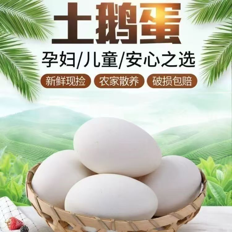 【拍10枚送10枚】xw现捡农家雁土鹅蛋单黄大鹅蛋80g-100g破损包赔