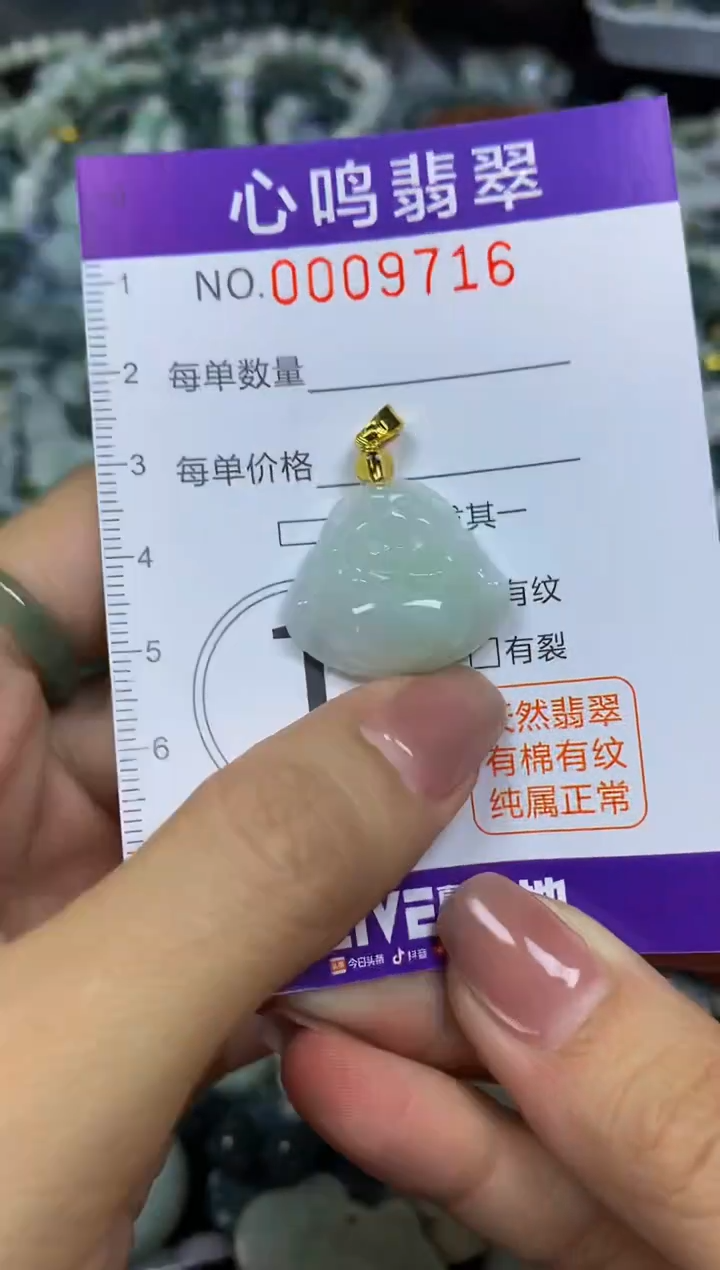 翡翠未镶嵌颈饰闪购009716