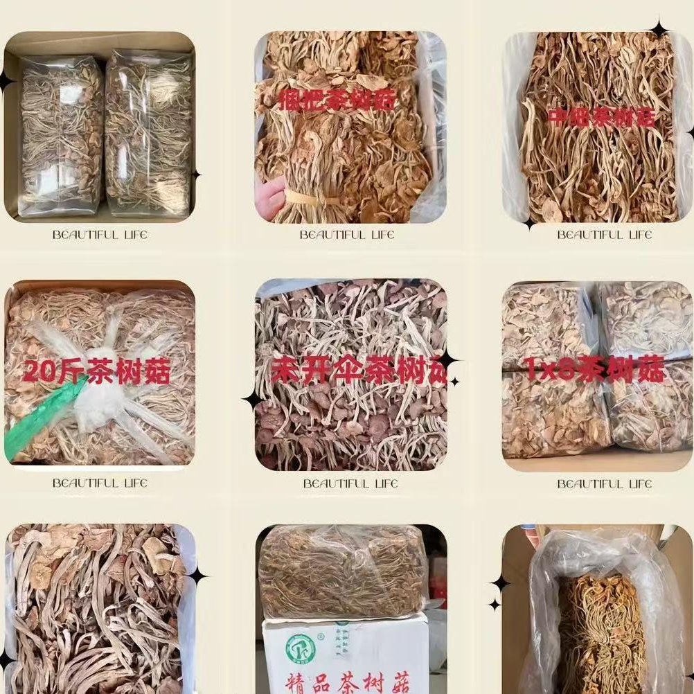 特产滋补 桑葚 【代替链接】买一送一