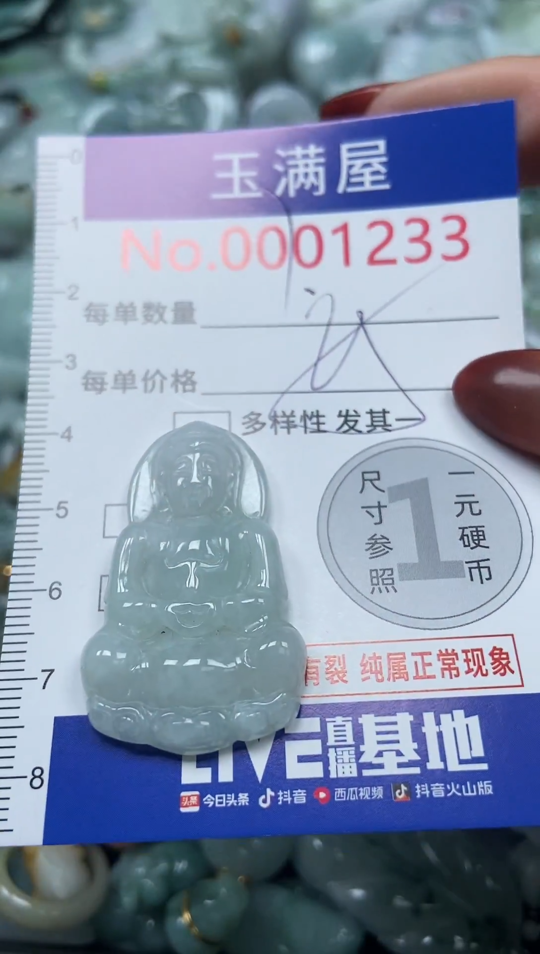 颈饰未镶嵌翡翠1233