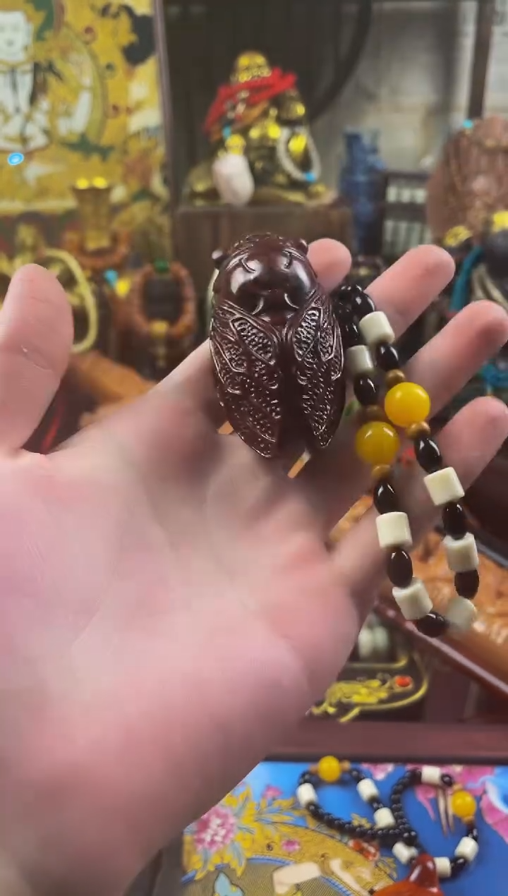 木玄觞阁贰号直播精选推荐