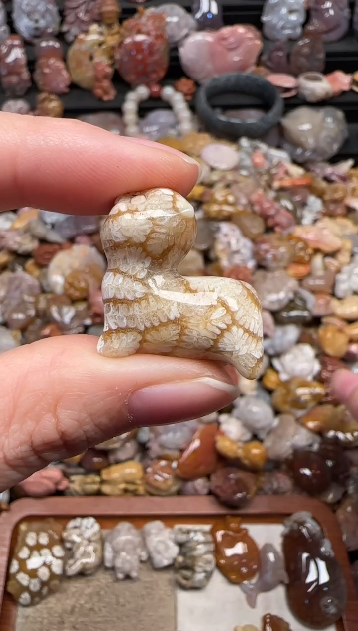 颈饰未镶嵌硅化珊瑚（珊瑚玉）379