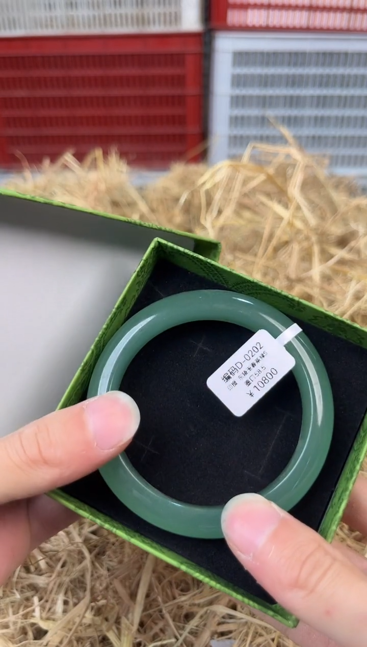未镶嵌手镯石英质玉编号D-0202
