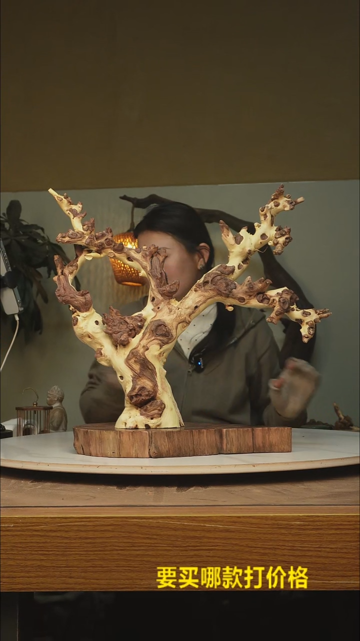 木菲*根雕摆件类853