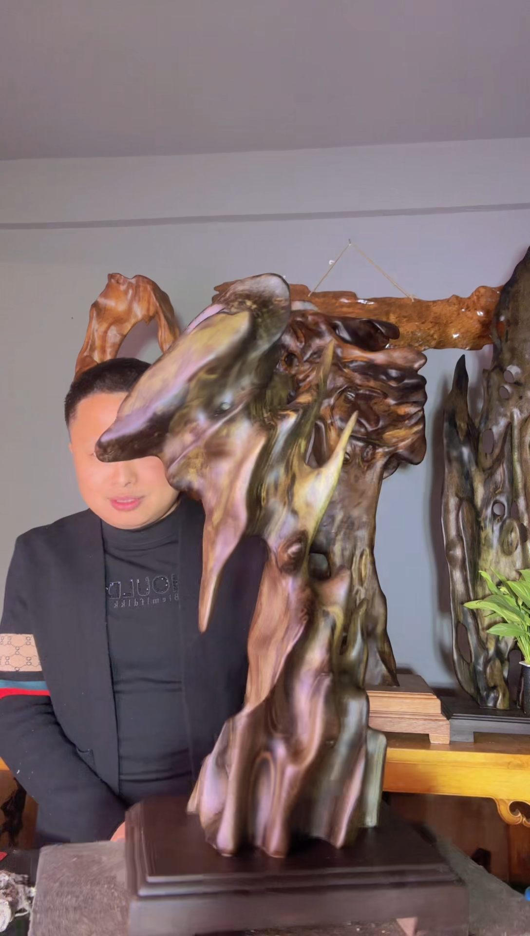 【闪购商品】金丝楠以直播间主播介绍为准